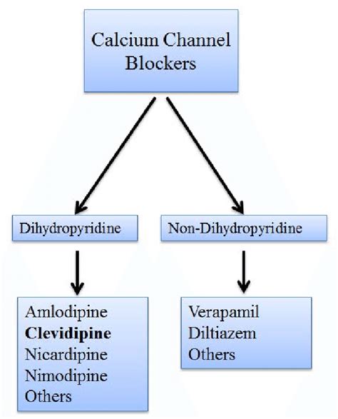 ca chanel blocker|ca channel blockers types.